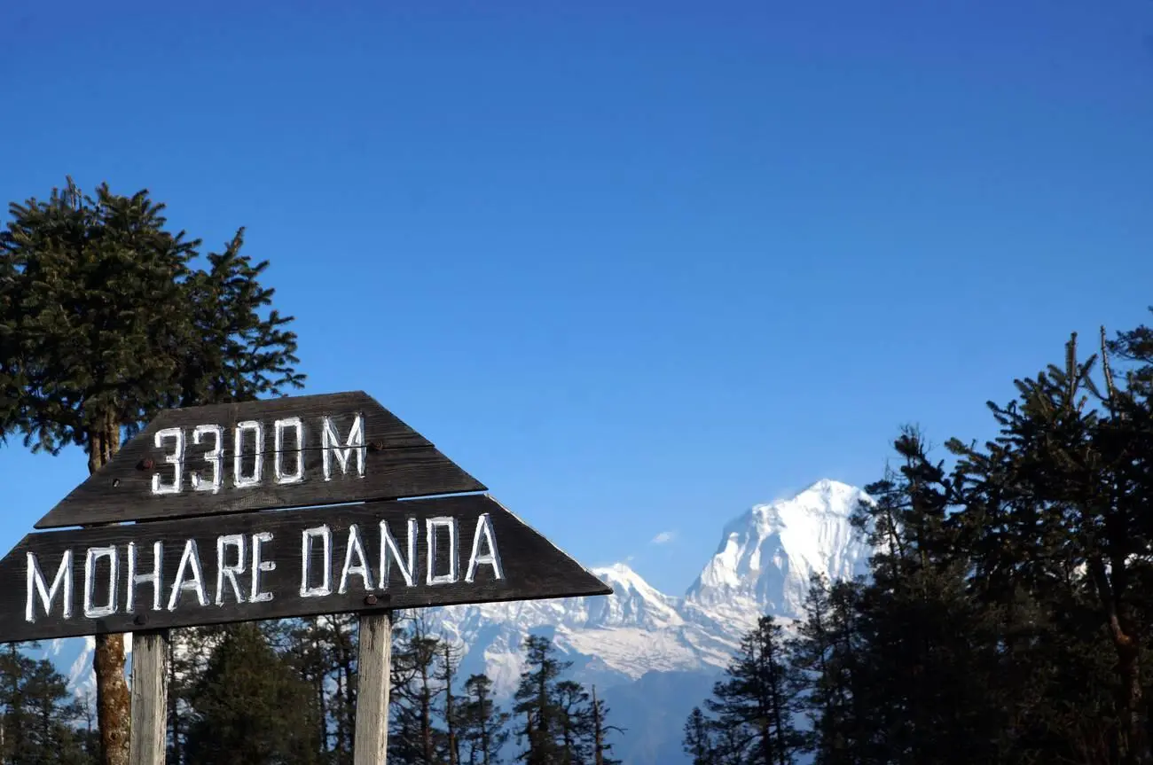 Mohare Danda Trek